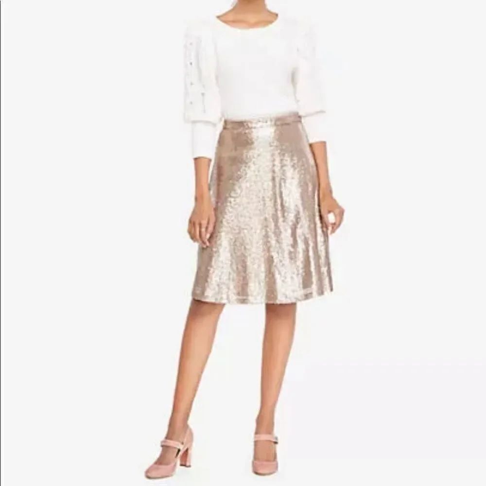 Ann Taylor 4 Sequined A line Flowy Metallic Skirt with Back Zip - Picture 3 of 13